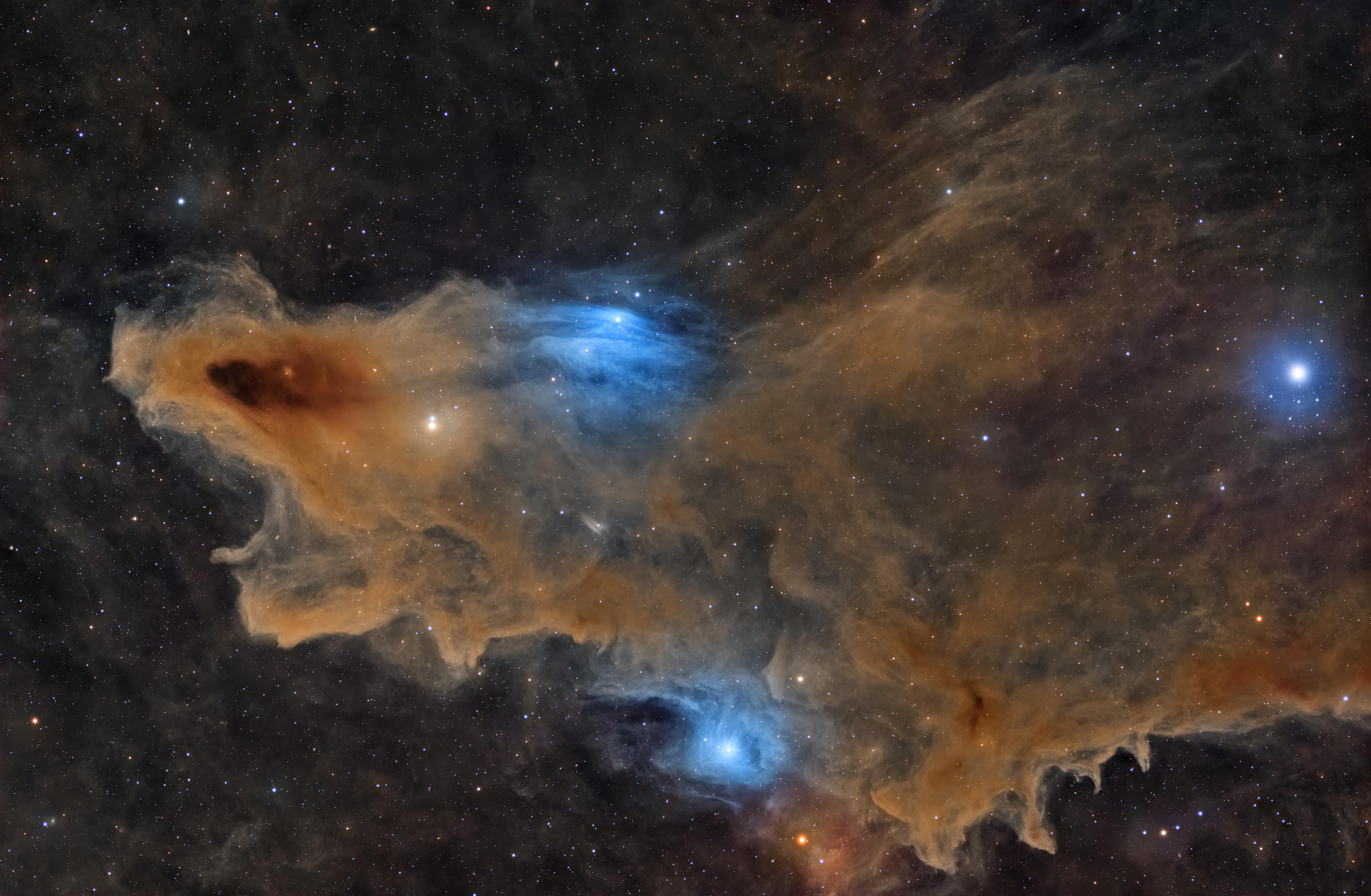 A dusty dark nebula that reminds us of a shark with an open mouth A dusty dark nebula that reminds us of a shark with an open mouth